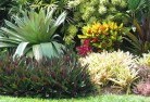 Cooroy Mountainbali-style-landscaping-6old.jpg; ?>